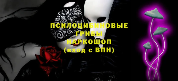 дмт Абаза